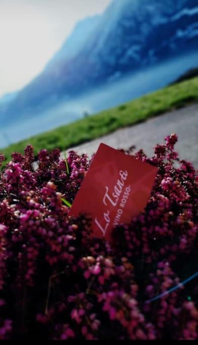 Lo Tsanty Casa Vacanza アオスタ エクステリア 写真